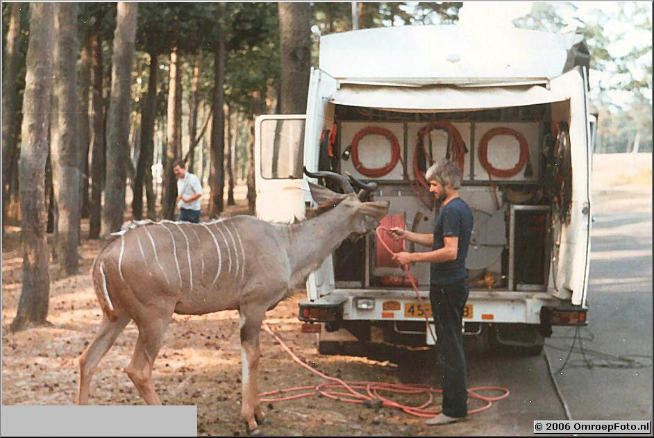 Foto 3-59. Jan van Ooijen in Burgers DierenPark Arnhem 1982 Trein 15